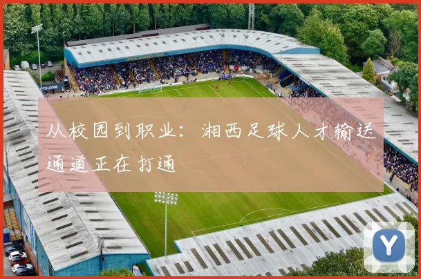 从校园到职业：湘西足球人才输送通道正在打通