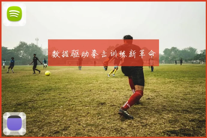 数据驱动拳击训练新革命