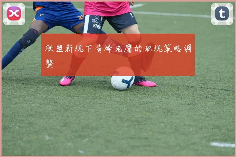 联盟新规下黄蜂老鹰的犯规策略调整