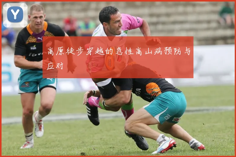 高原徒步穿越的急性高山病预防与应对