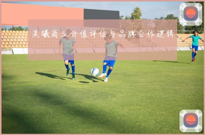 吴曦商业价值评估与品牌合作逻辑